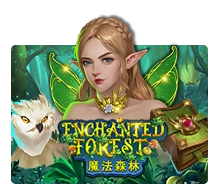 Enchanted Forest - AZGAMING388